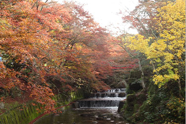 岩屋堂公園